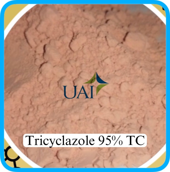 TRICYCLAZOLE 95% TC - Công Ty TNHH Hóa Chất Phân Bón Thuốc Bvtv Dubai